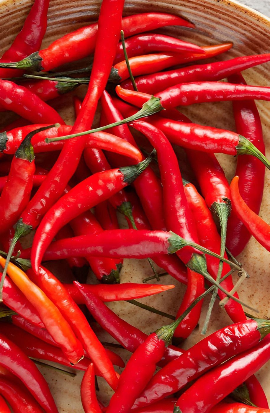Chilli Pepper (Shombo)