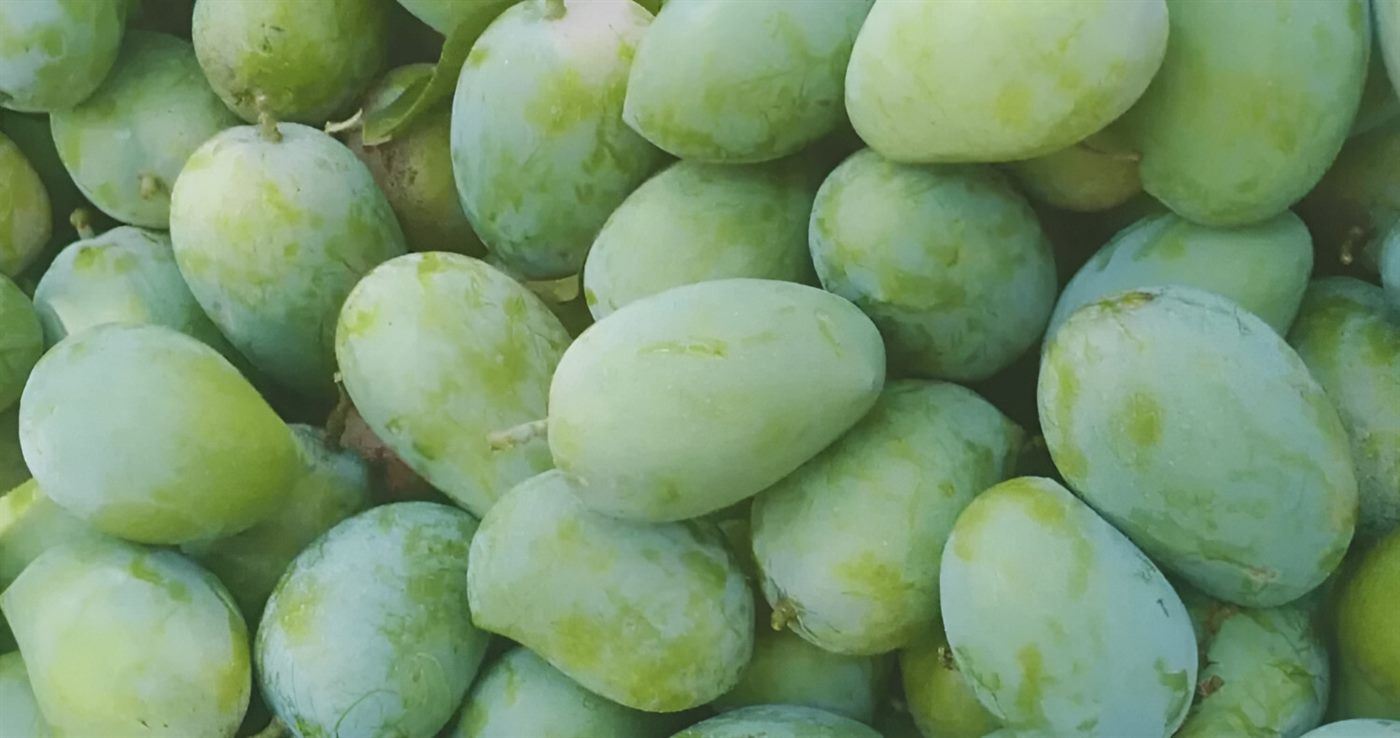 German Mangoes
